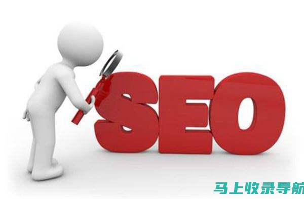 SEO优化入门教程视频：从基础到进阶